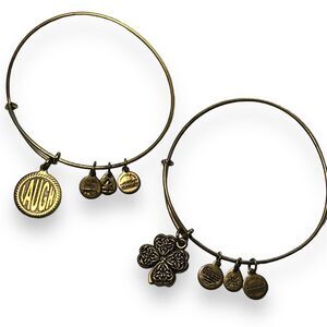Alex and Ani Energy Womens Bangles Charm Bracelets Set of 2 Fashion Jewelry